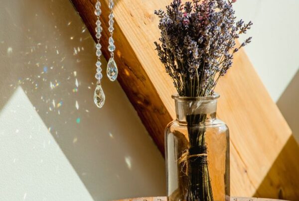 Feng Shui design lucky colors of 2025 article Feature Image