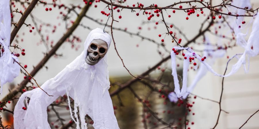 Unique Halloween decorations with spooky ghostly skeleton heads draped in white cloth hanging from tree branches.