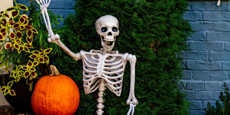 Scary Halloween yard ideas with a life-size skeleton decoration posed beside a pumpkin and autumn plants against a brick wall.