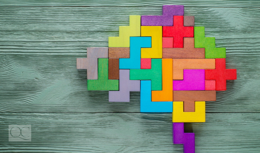 brain blocks with color to represent color psychology