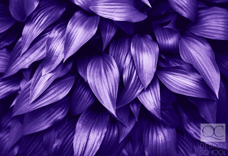 ultra violet color of the year Pantone