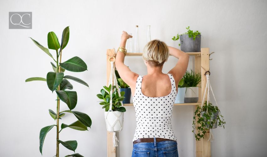 Rear view of young woman indoors at home, arranging plants on shelf.